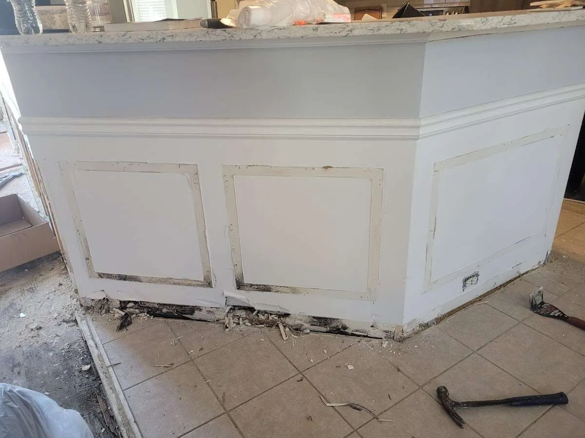 Water damage and mold on kitchen during Sewage Cleanup & Sanitation in Athens